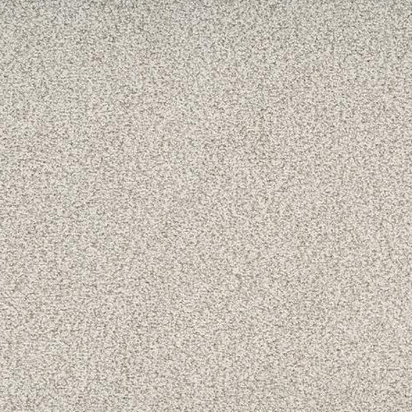 Dixie Home Legit Courtly