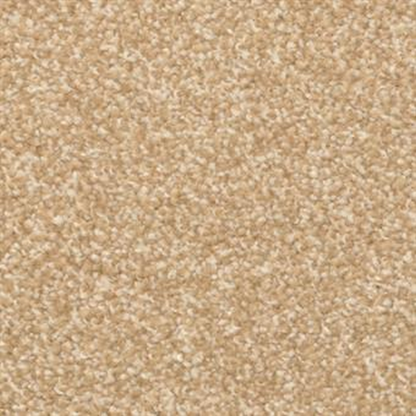 Masland Carpets Beacon Hill Camellia Masland