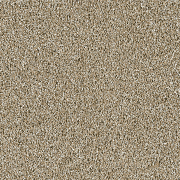 Dreamweaver Carpet Acclaim Outback DREAMWEAVER