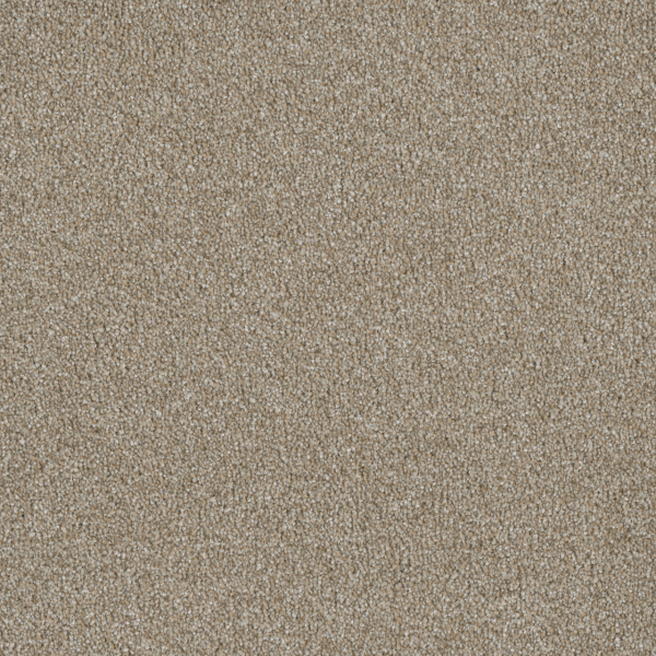 Dreamweaver Carpet Luxor III Outback DREAMWEAVER