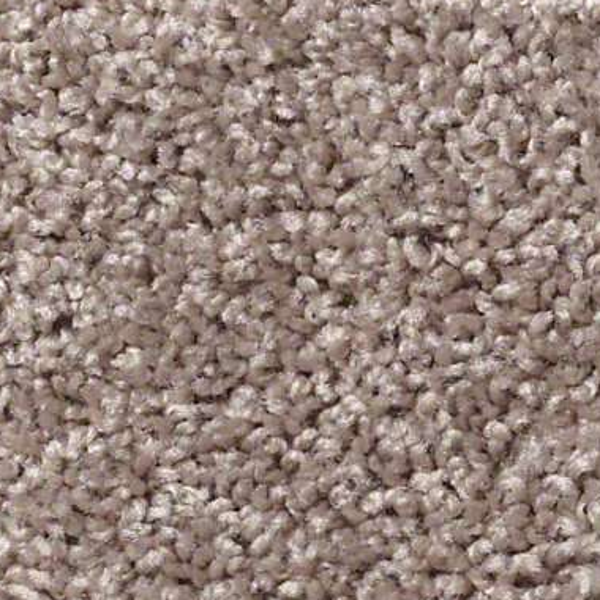 Shaw Floors Fielders Choice 12 Aloe SHAW