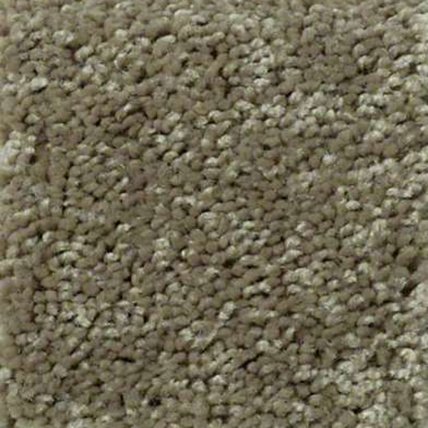 Shaw Floors Full Court 15 Aloe SHAW