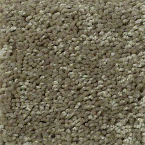 Shaw Floors Fielders Choice 15 Aloe SHAW