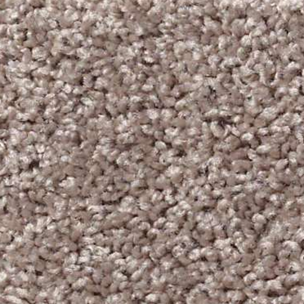 Shaw Floors All Star Weekend I 12' Aloe SHAW