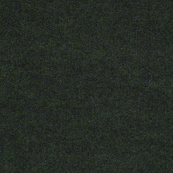 Philadelphia Commercial Backdrop I 6' Forest Night Shaw