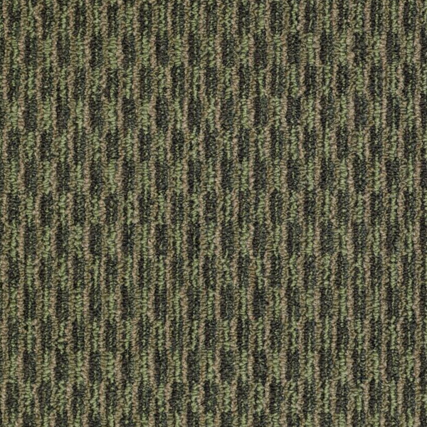 Philadelphia Commercial Pattern Play Hedge Row Shaw