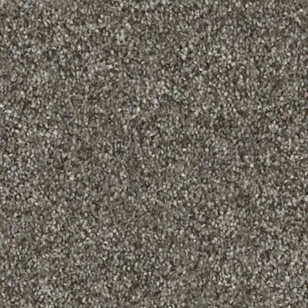 Shaw Floors Without Limits III Organic SHAW