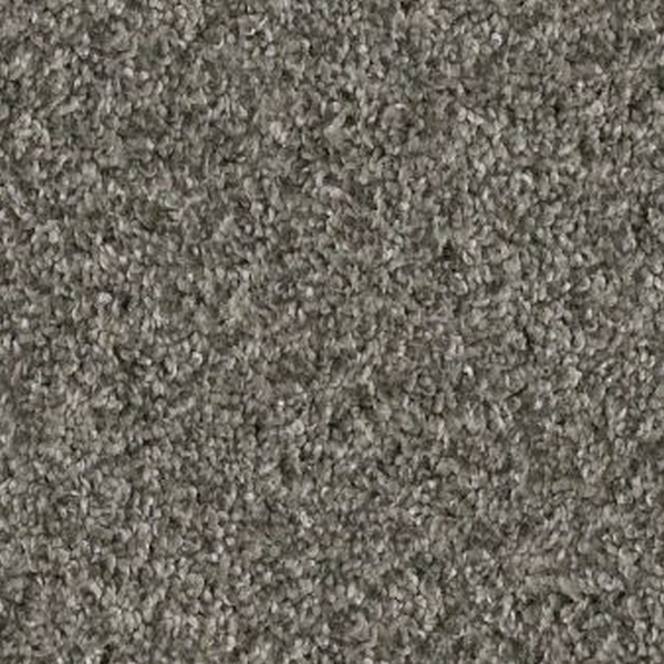 Shaw Floors Yes You Can I 12' Rerooted Nature SHAW