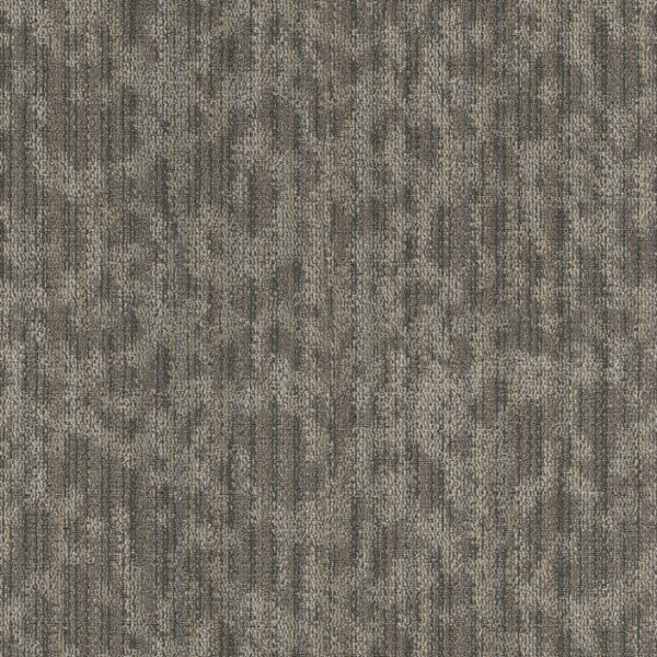 Philadelphia Commercial Folium Retreat Shaw