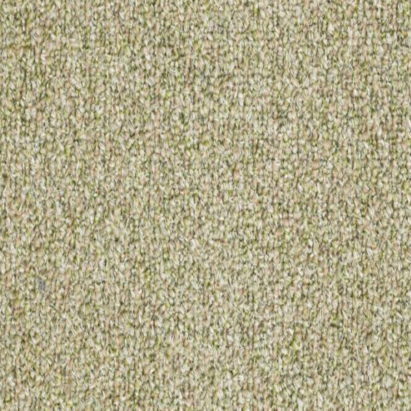 Philadelphia Commercial Natural Path Seedling Shaw