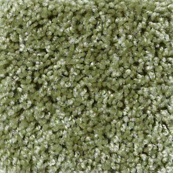 Shaw Floors Dreamin 12' Spring Valley SHAW