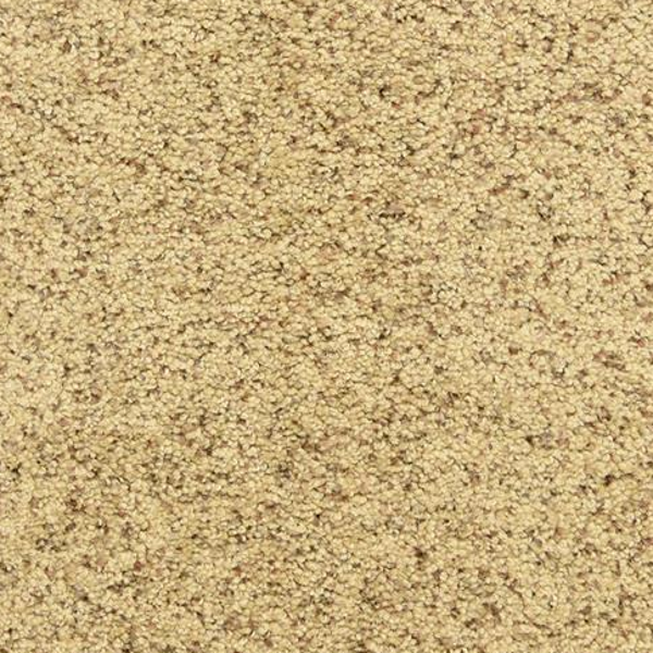 Dixie Home Star Power Pebble Mosaic