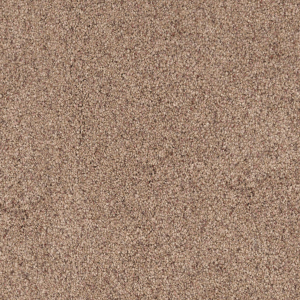 Dixie Home Great Dane Bark