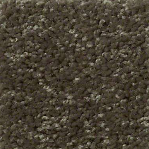 Shaw Floors Fielders Choice 12 Hedges SHAW