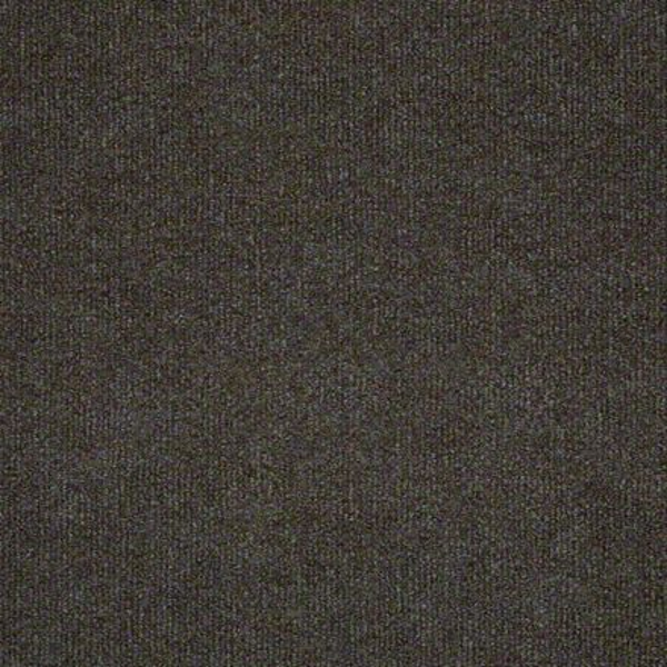 Philadelphia Commercial Windsurf Hummingbird Shaw