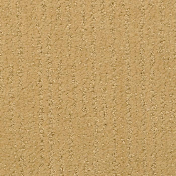 Masland Carpets Nature's Essence Burly Masland