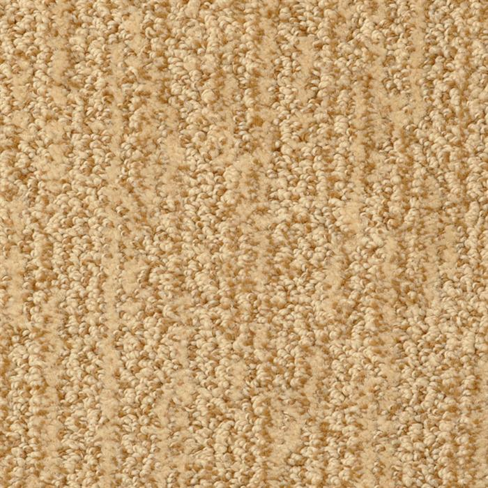 Masland Carpets Mesa Verde Sienna Masland
