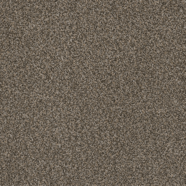 Dreamweaver Carpet Hot Pursuit Yorkstone DREAMWEAVER