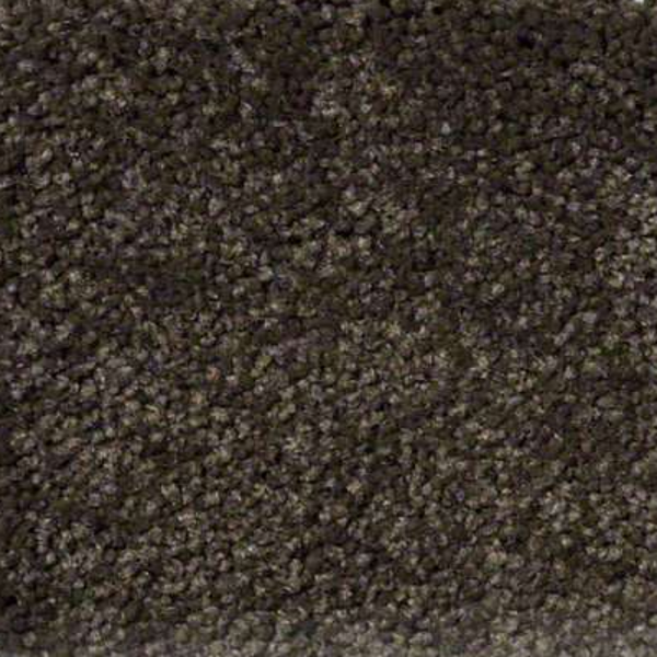 Shaw Floors Ultimate Expression 15' Tropic Vine SHAW