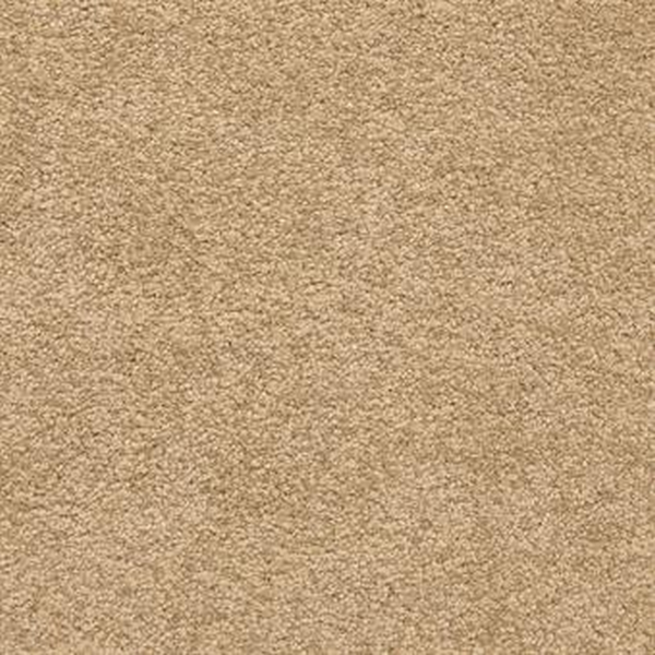 Masland Carpets Knockout Jamestown Masland