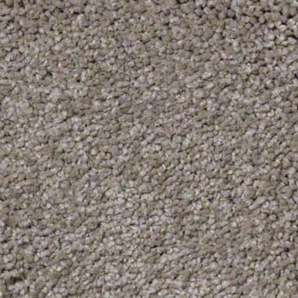 Shaw Floors Ultimate Expression 15' Chinchilla SHAW