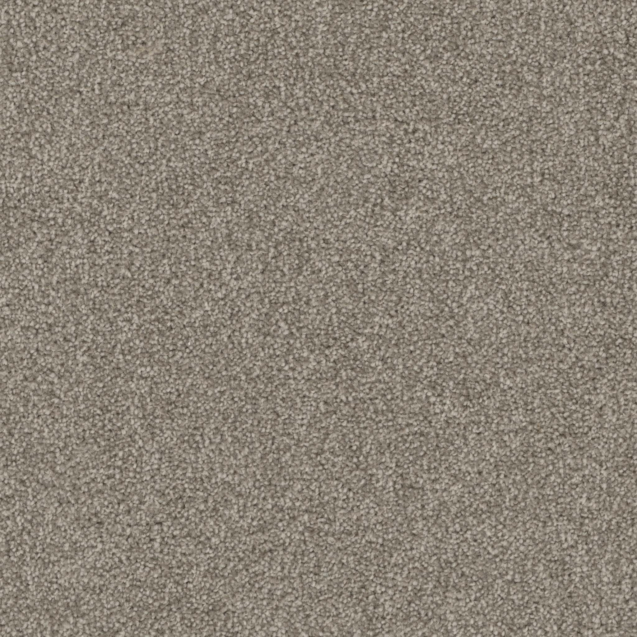 Pentz Commercial Terrain Enclave ENGINEERED FLOORS