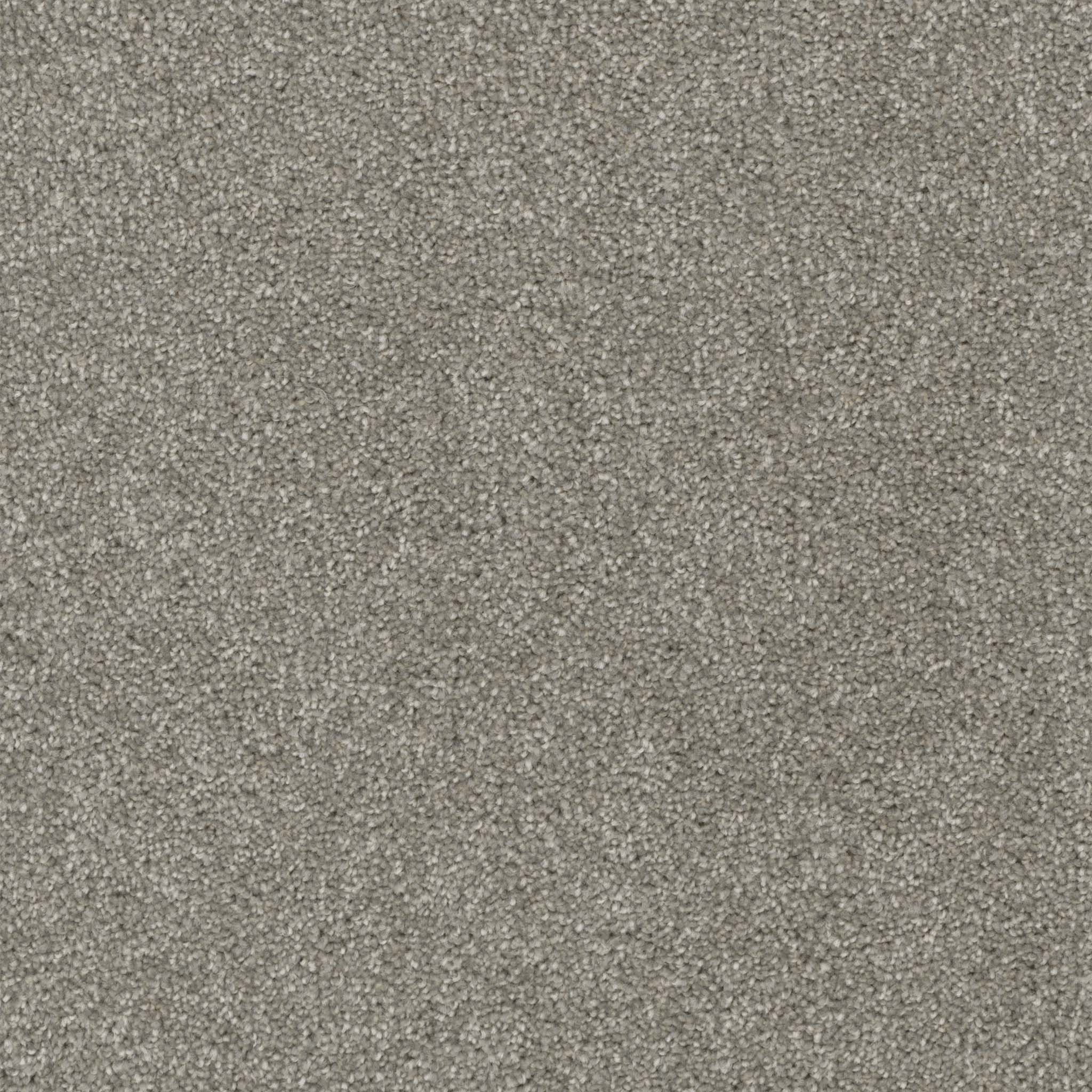 Pentz Commercial Terrain Realm ENGINEERED FLOORS