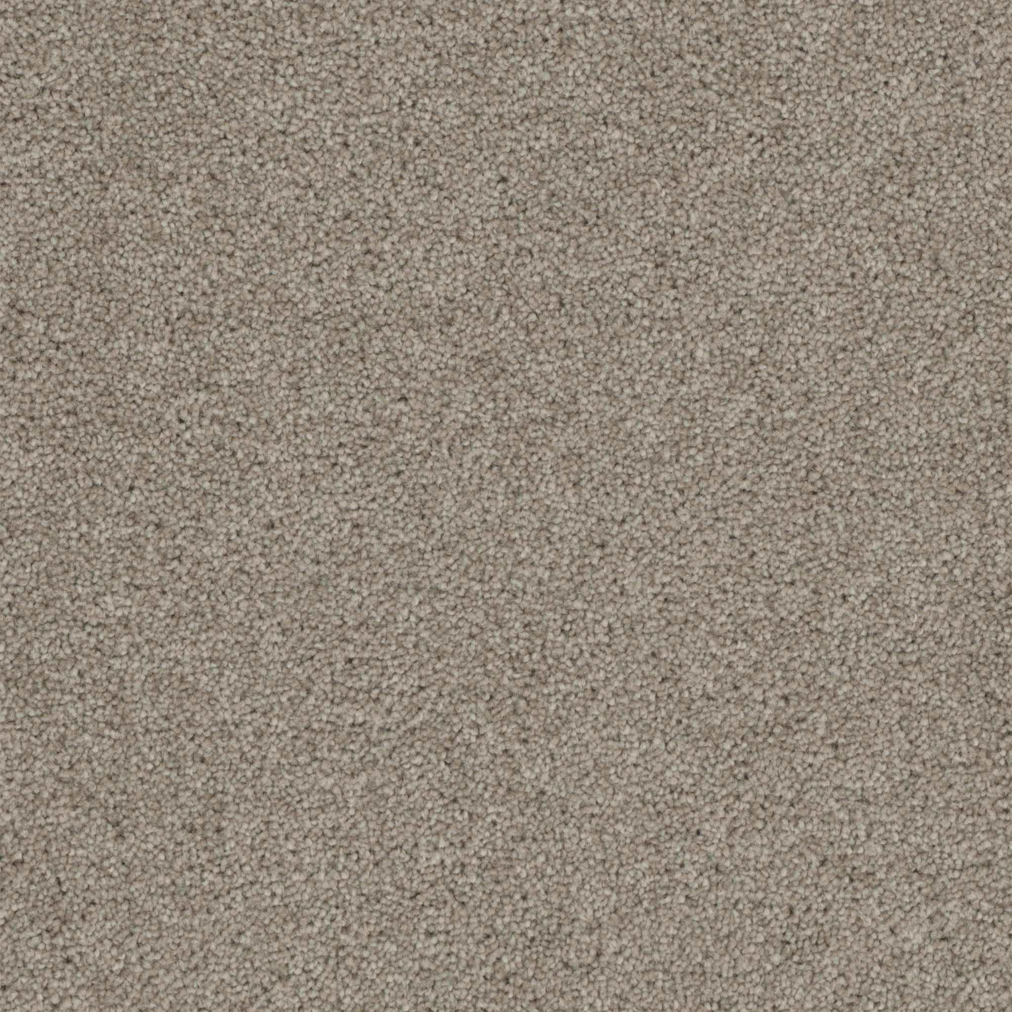 Pentz Commercial Terrain Ambiance ENGINEERED FLOORS