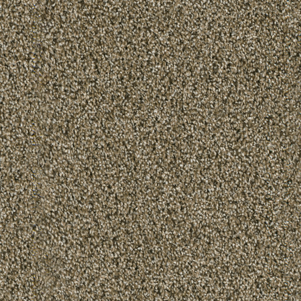 Dreamweaver Carpet Acclaim Island Spice DREAMWEAVER