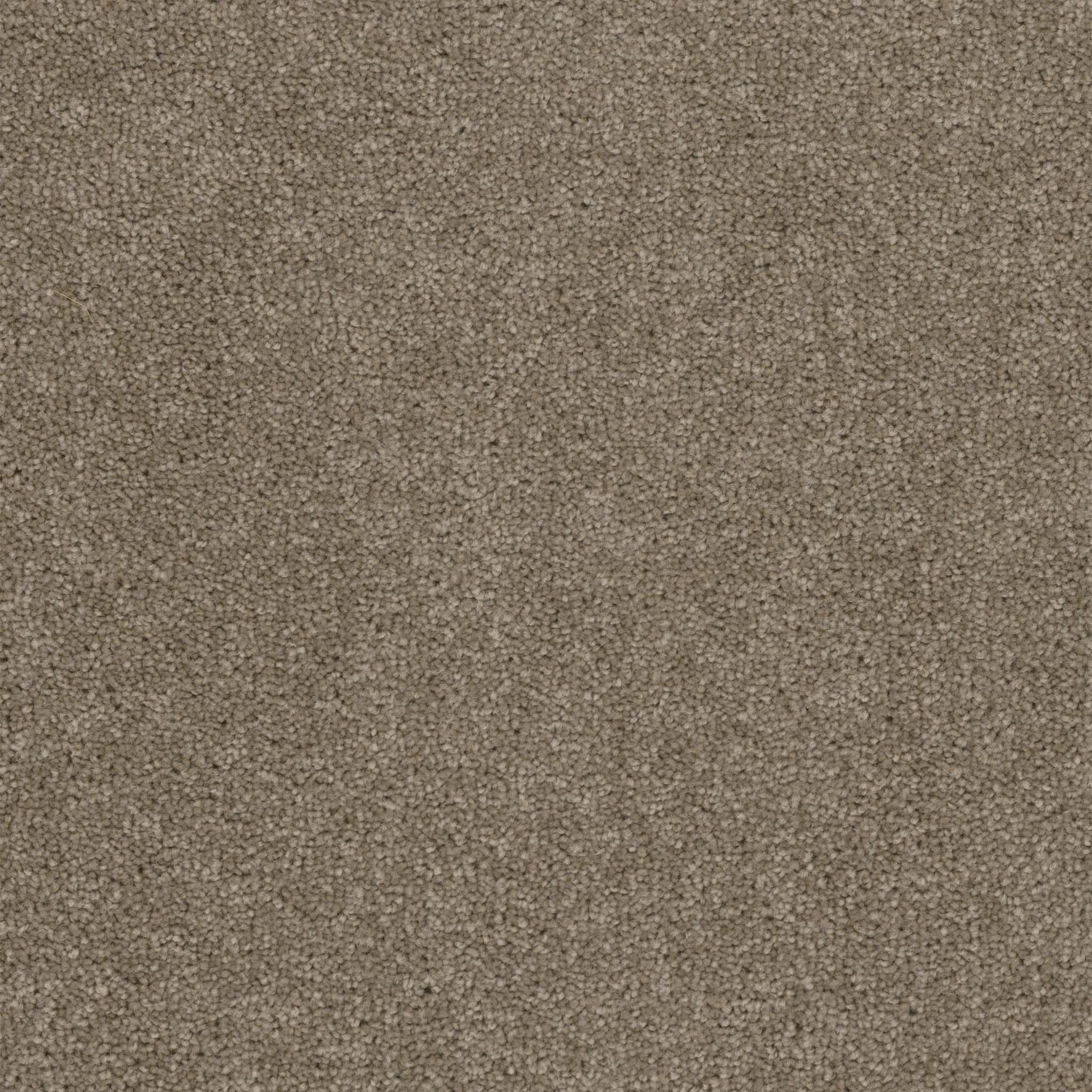 Pentz Commercial Terrain Locale ENGINEERED FLOORS