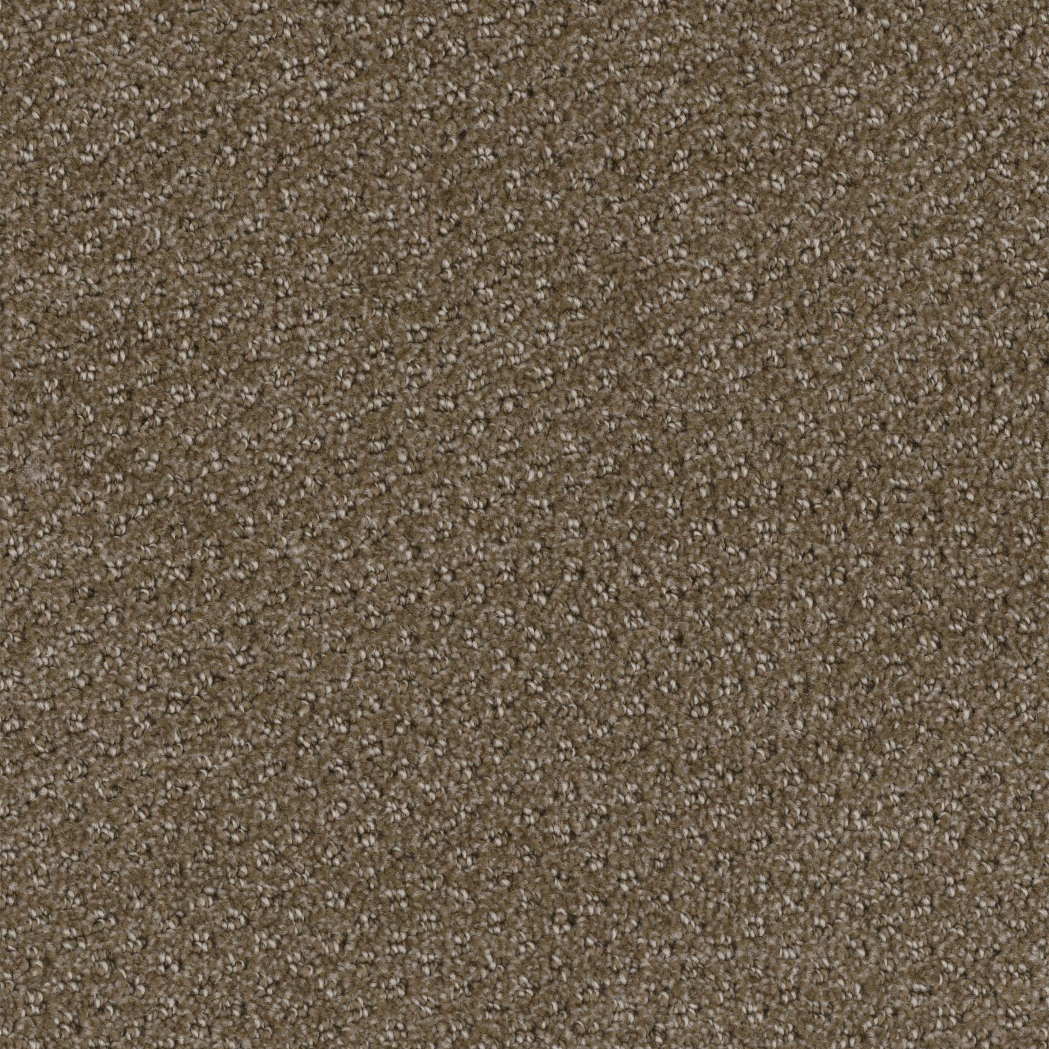 Pentz Commercial Domain Habitat ENGINEERED FLOORS