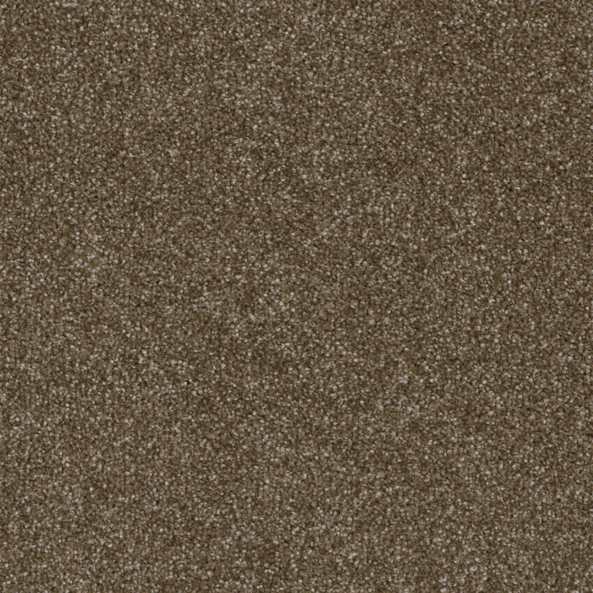 Pentz Commercial Terrain Habitat ENGINEERED FLOORS