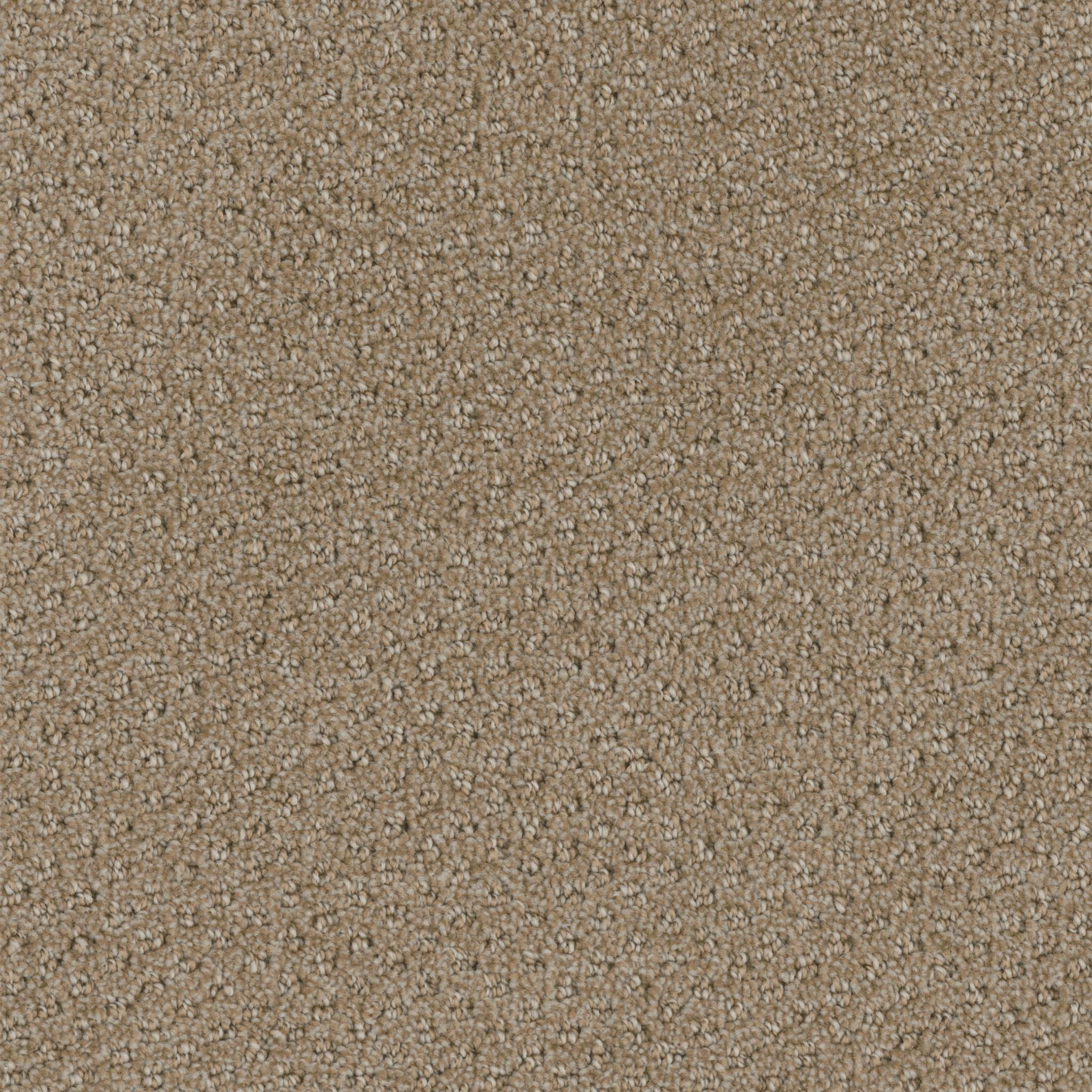 Pentz Commercial Domain Vista ENGINEERED FLOORS