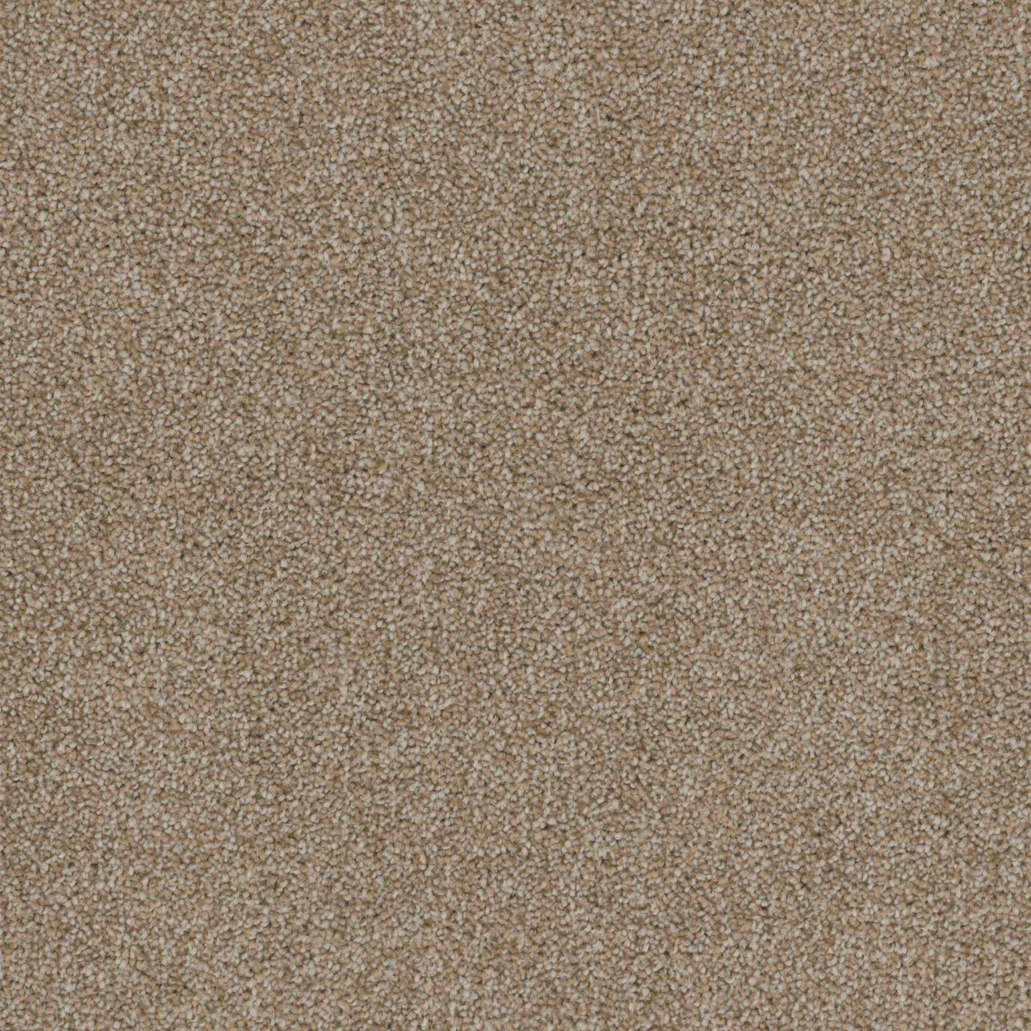 Pentz Commercial Terrain Vista ENGINEERED FLOORS