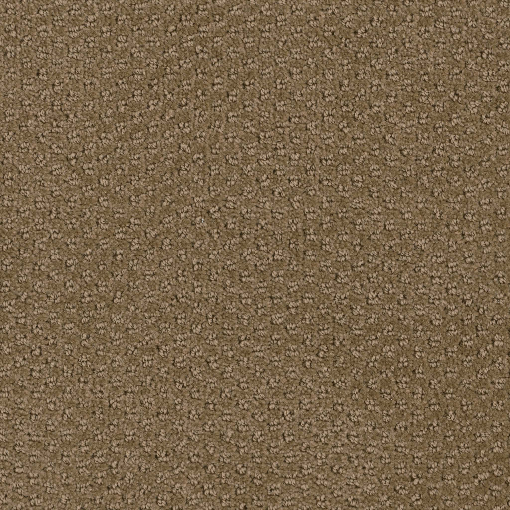 Pentz Commercial Domain Haven ENGINEERED FLOORS