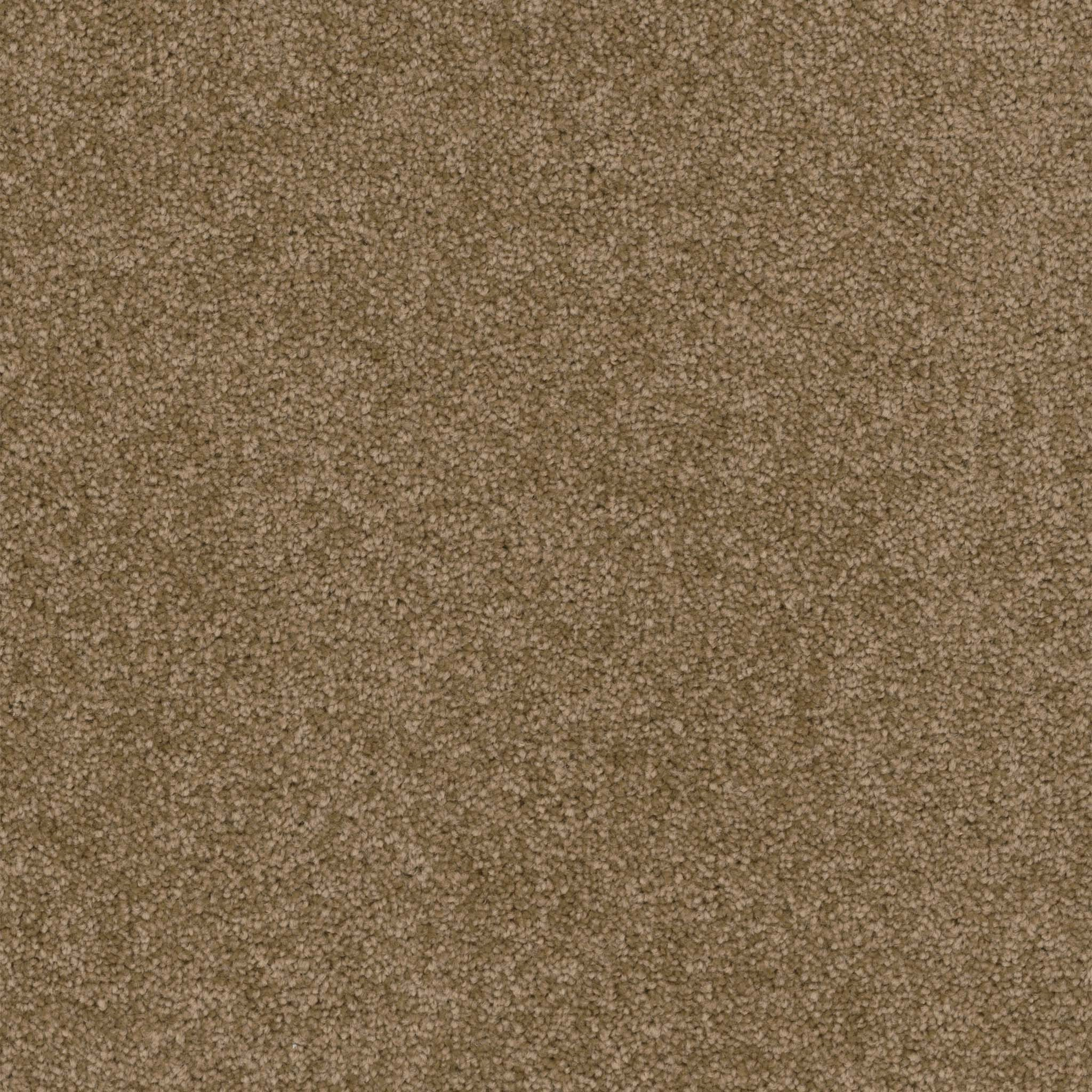 Pentz Commercial Terrain Haven ENGINEERED FLOORS