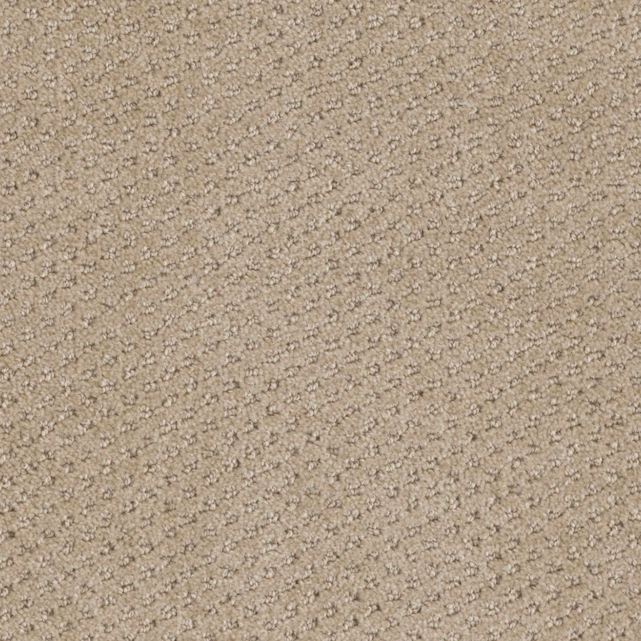 Pentz Commercial Domain Coast ENGINEERED FLOORS