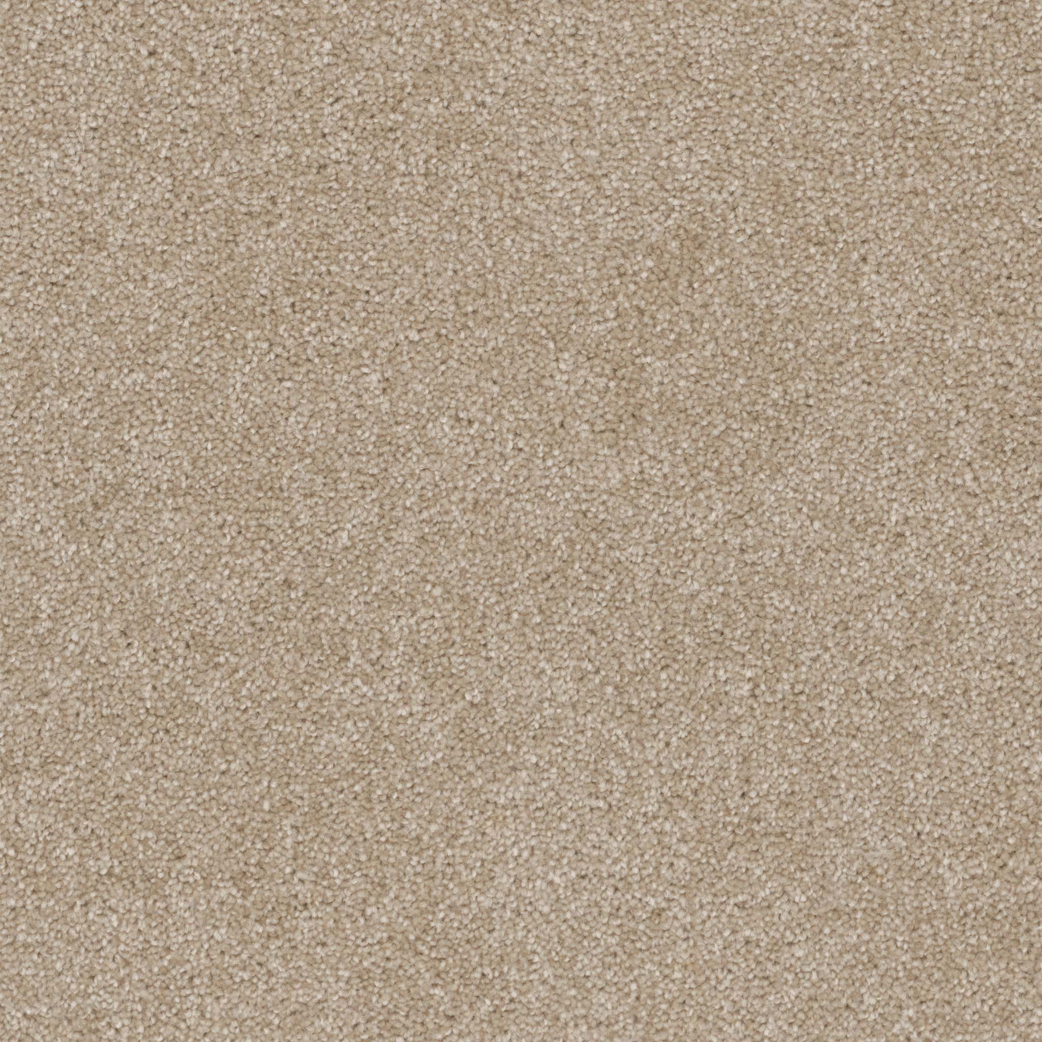 Pentz Commercial Terrain Coast ENGINEERED FLOORS