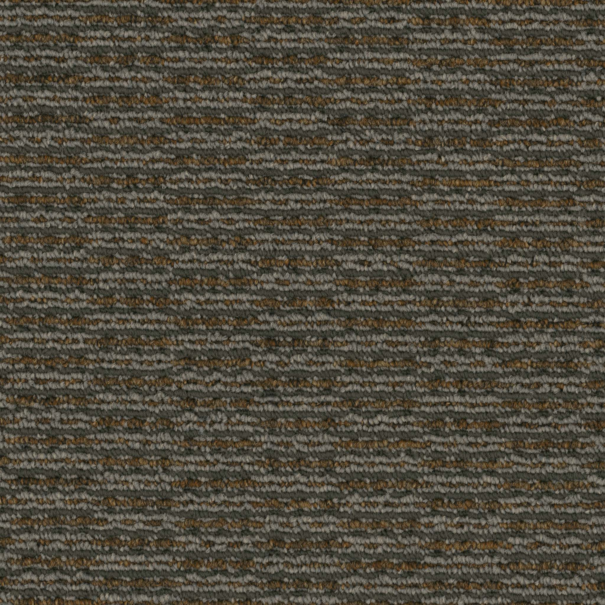 Pentz Commercial Rogue Bandit ENGINEERED FLOORS