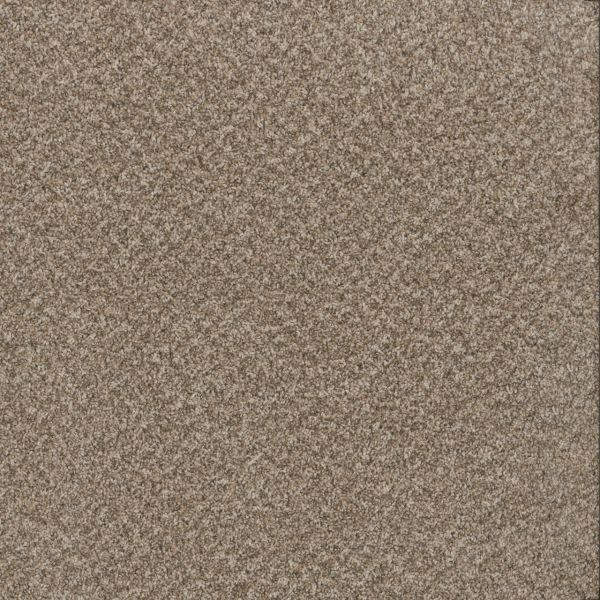 Dreamweaver Carpet Toast Of The Town Natural Cotton DREAMWEAVER