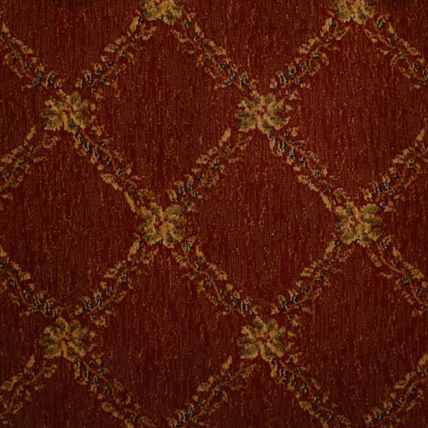 Kane Carpet Marathon Curry KANE