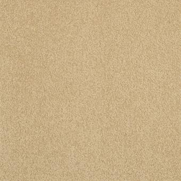 Masland Carpets Americana Cliffrose Masland