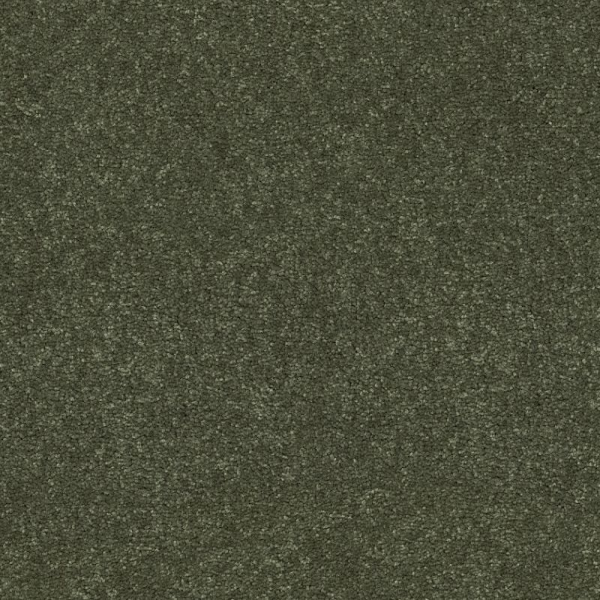 Shaw Floors Easy Spirit III 15 Garden View SHAW