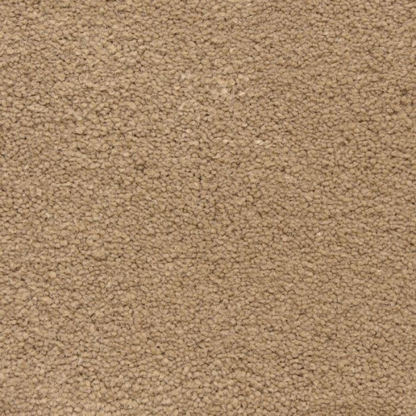 Masland Carpets Ravishing Inviting Masland