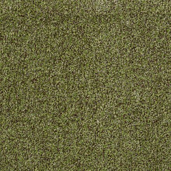 Philadelphia Commercial Arbor View (T) Mossy Bark Shaw