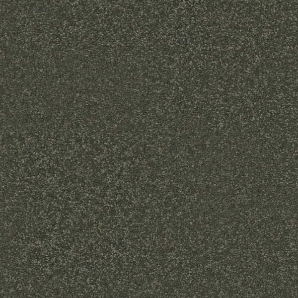 Shaw Floors Awaken Spirit II 12' Olive Tree SHAW