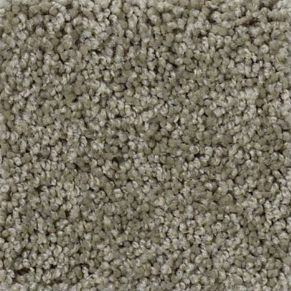 Shaw Floors Origins Silver Sage SHAW