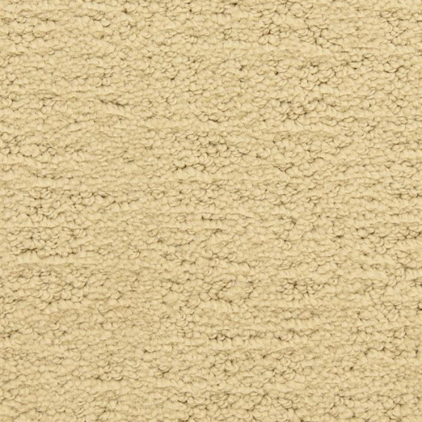 Masland Carpets Santa Barbara Mission Canyon Masland