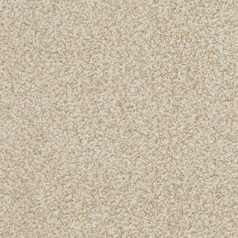 Masland Carpets Boca Raton Timeless Masland