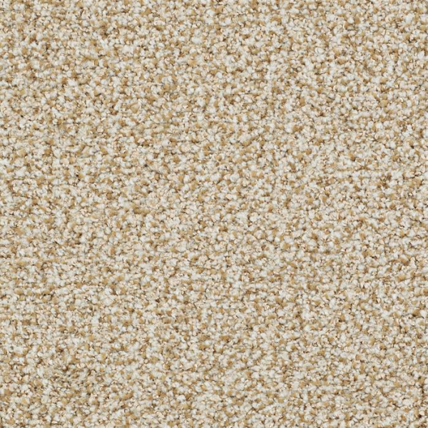 Masland Carpets St Augustine Timeless Masland